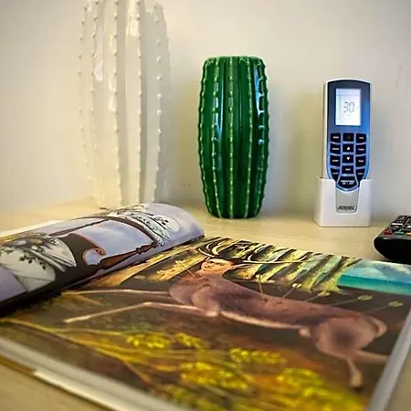 '900 포자